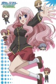 Baka to Test to Shoukanjuu: Temporada 1 Sub Español Descargar