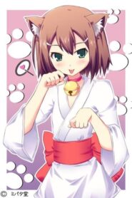 Baka to Test to Shoukanjuu: Temporada 2 Sub Español Descargar