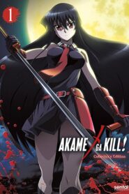 Akame ga Kill!: Temporada 1 Sub Español Descargar